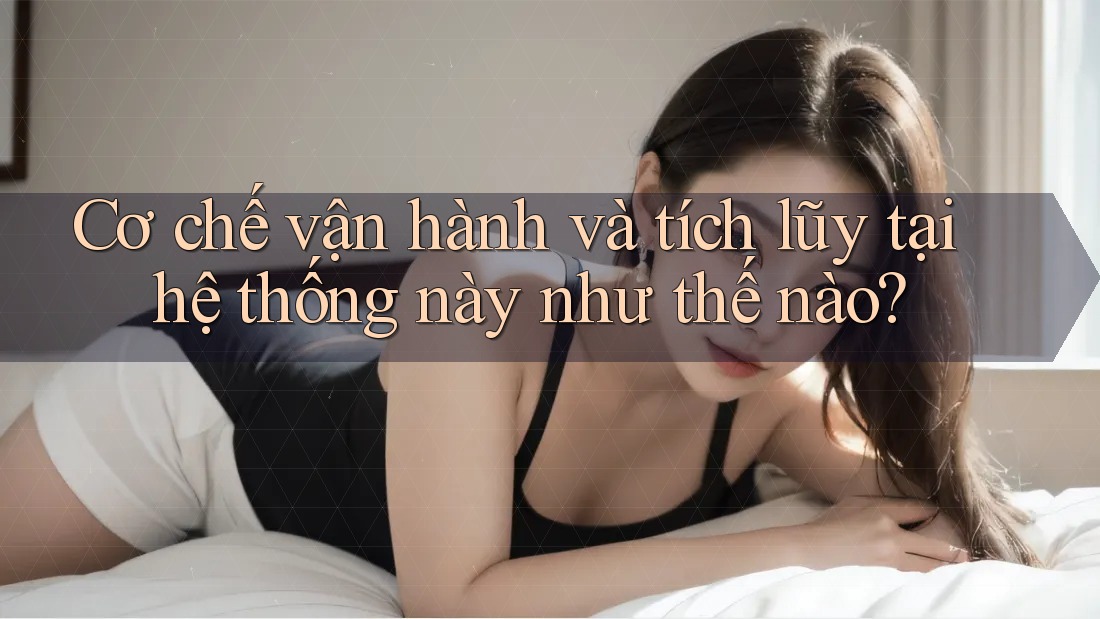 Cơ chế vận hành và tích lũy tại hệ thống này như thế nào? Cơ chế vận hành và tích lũy tại hệ thống này như thế nào?