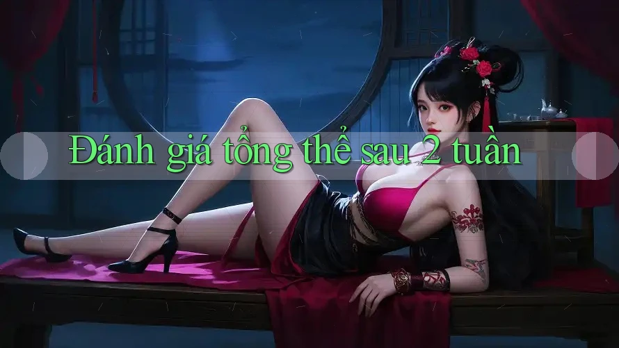 Đánh giá tổng thể sau 2 tuần Đánh giá tổng thể sau 2 tuần