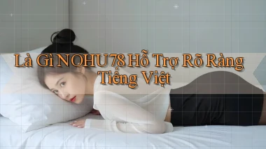 là gì nohu78 hỗ trợ rõ ràng tiếng việt