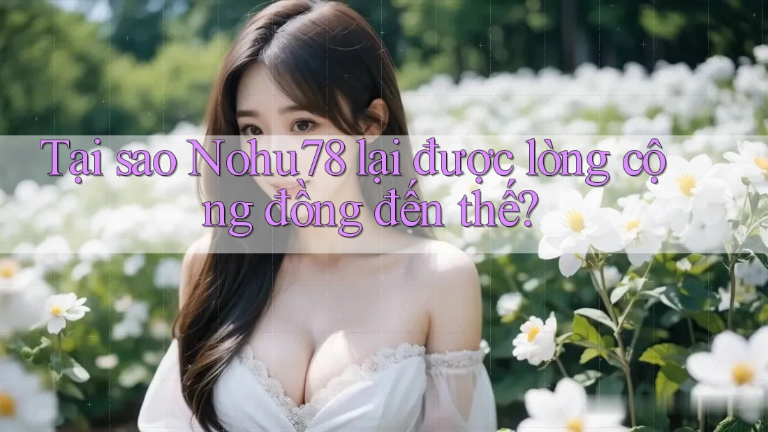 Tại sao Nohu78 lại được lòng cộng đồng đến thế? Tại sao Nohu78 lại được lòng cộng đồng đến thế?
