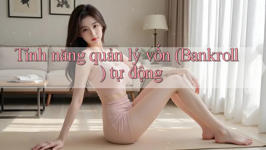 Tính năng quản lý vốn (Bankroll) tự động Tính năng quản lý vốn (Bankroll) tự động